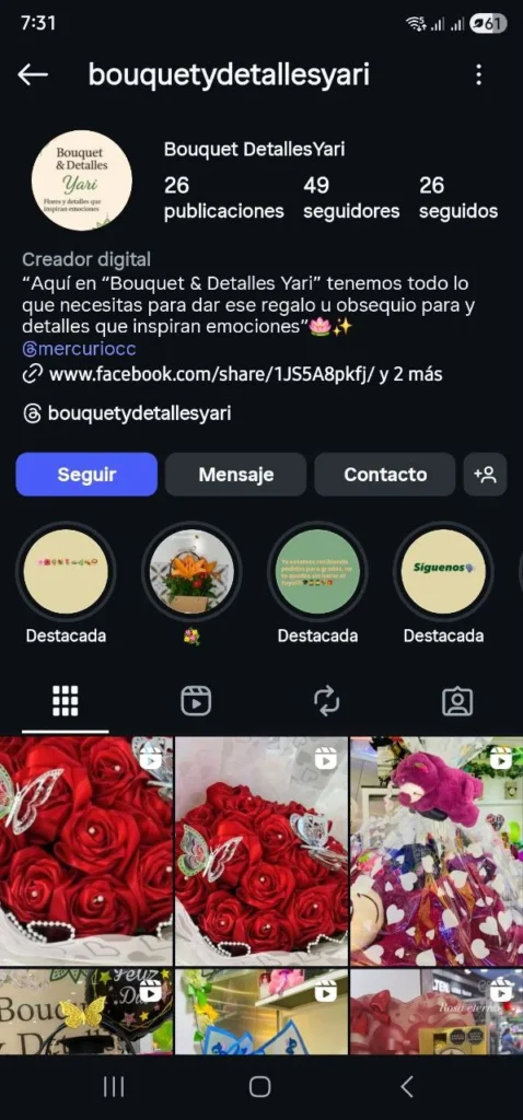 Perfil de Instagram desordenado con bio confusa